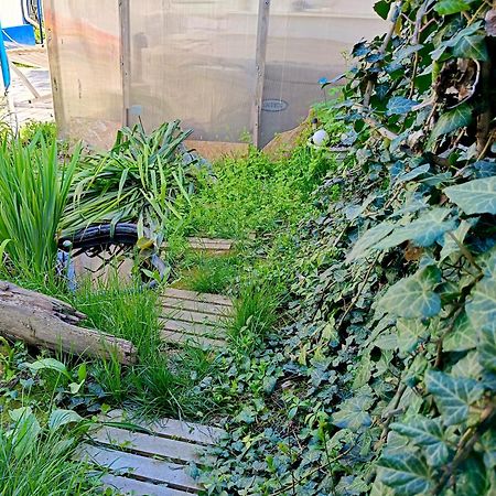 Casa Babica Guesthouse コスティネシュティ エクステリア 写真