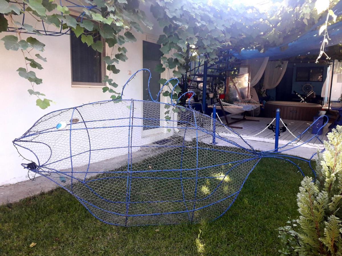 Casa Babica Guesthouse コスティネシュティ エクステリア 写真