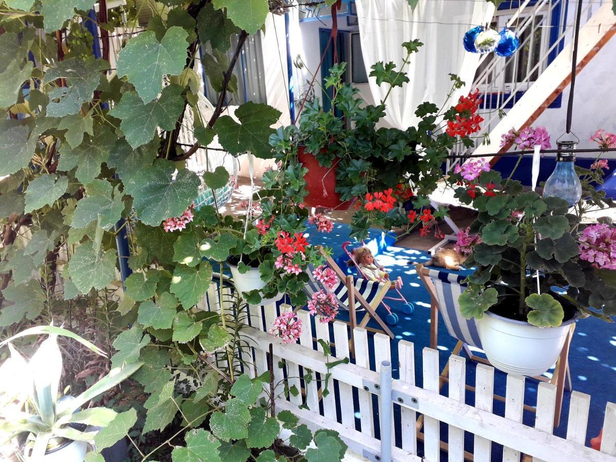 Casa Babica Guesthouse コスティネシュティ エクステリア 写真