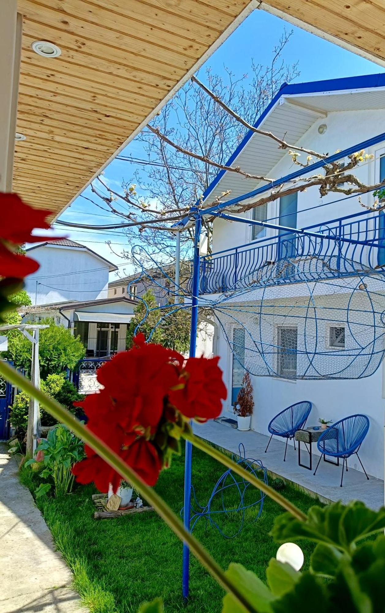 Casa Babica Guesthouse コスティネシュティ エクステリア 写真