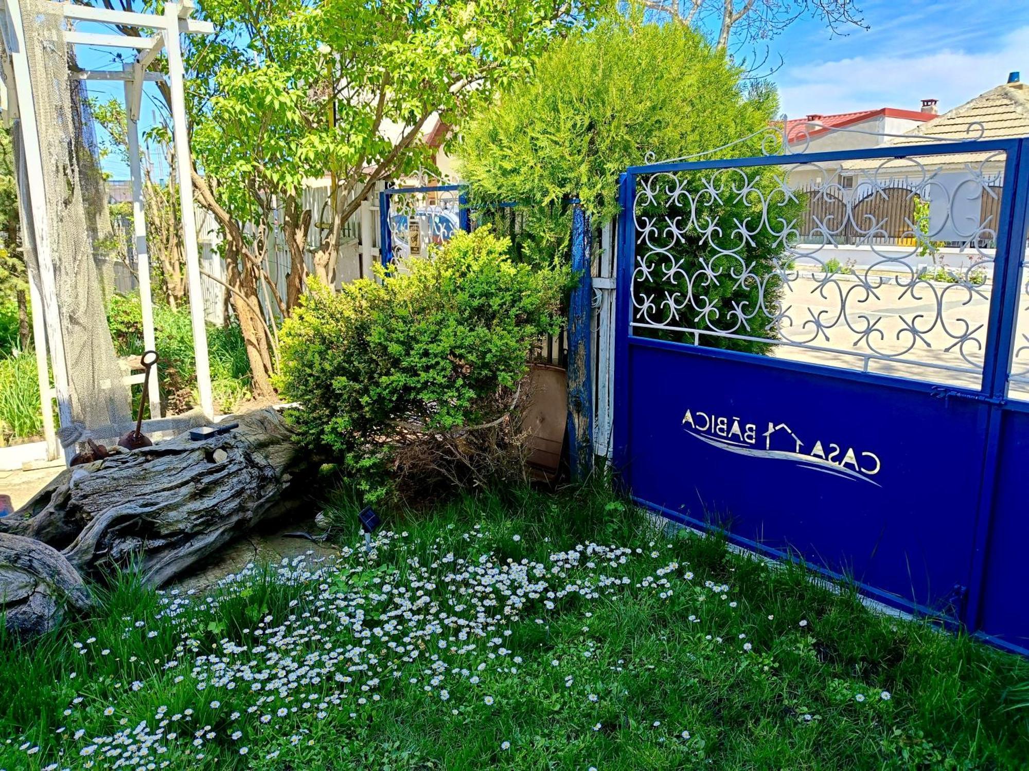 Casa Babica Guesthouse コスティネシュティ エクステリア 写真