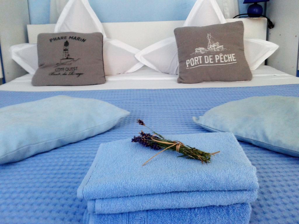 Casa Babica Guesthouse コスティネシュティ エクステリア 写真